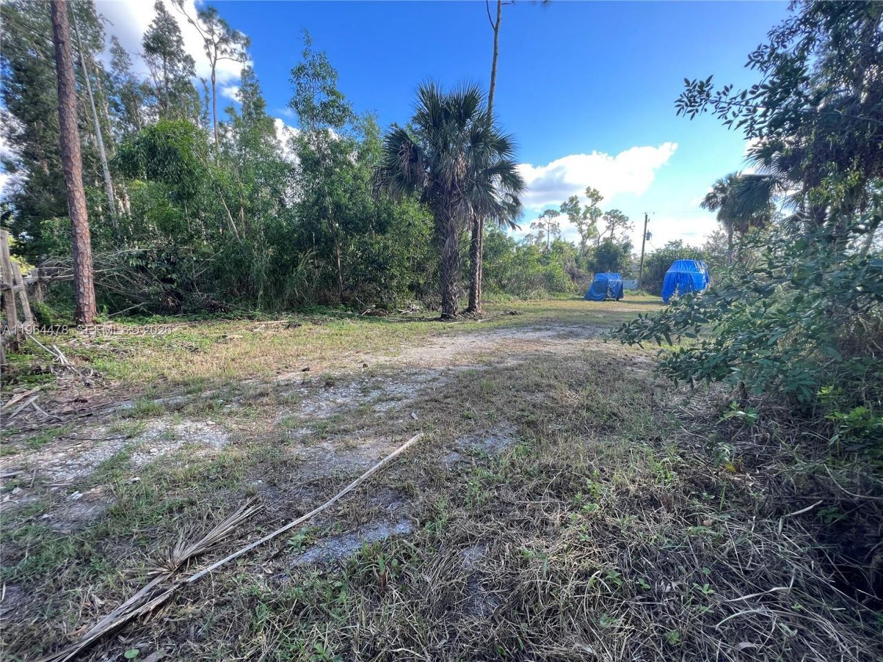 3050 Pine Tree Dr, Naples, FL 34112 Photo