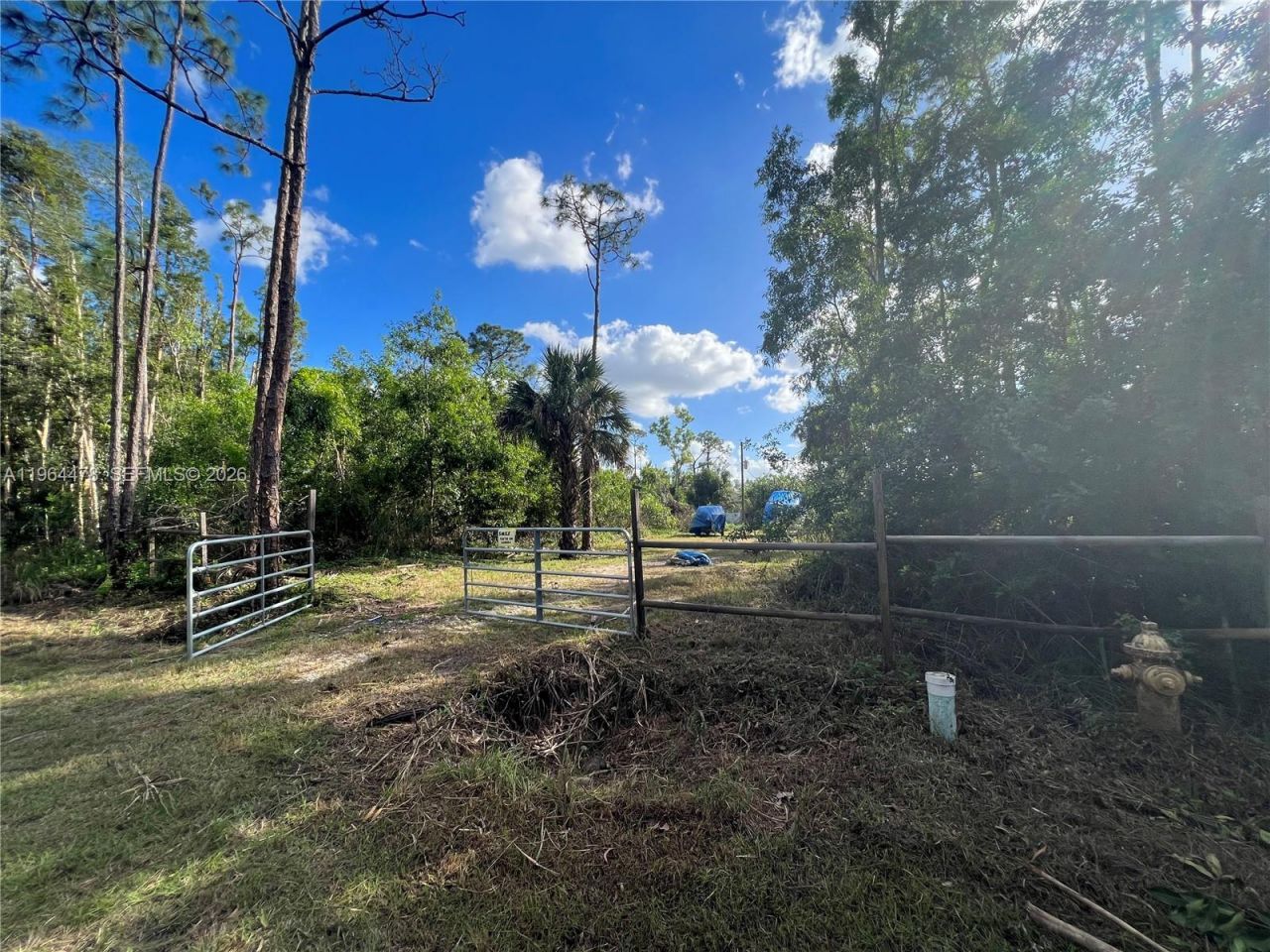 3050 Pine Tree Dr, Naples, FL 34112 Photo