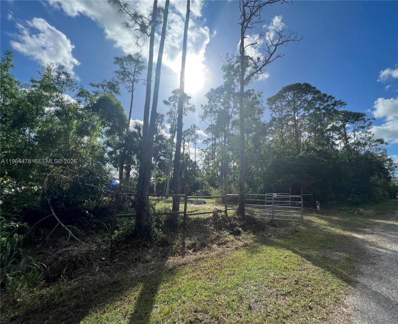 3050 Pine Tree Dr, Naples, FL 34112 Photo