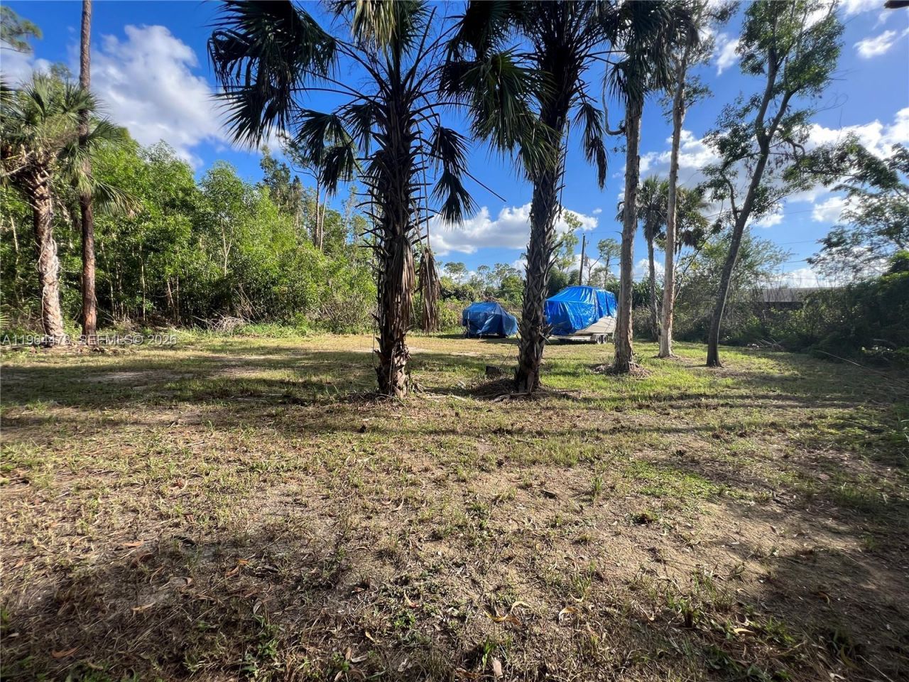 3050 Pine Tree Dr, Naples, FL 34112 Photo