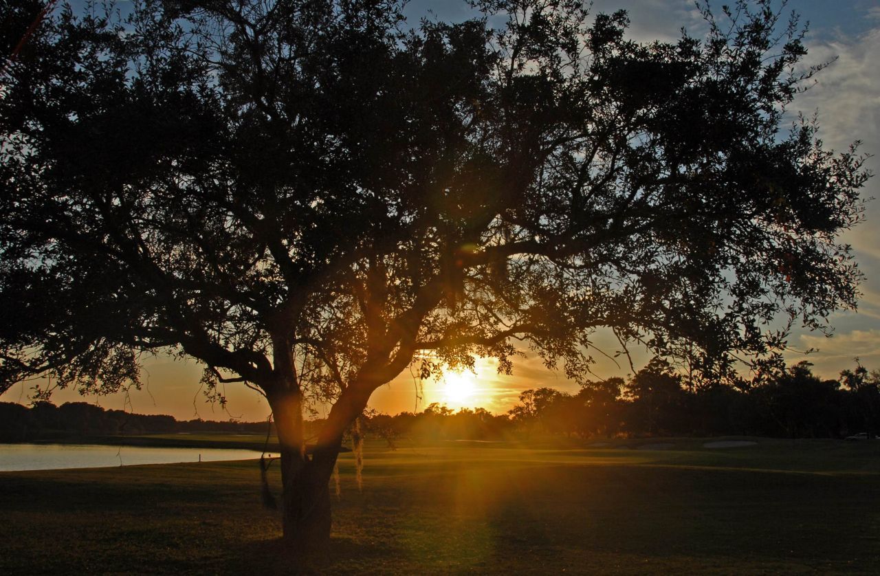 2987 Luvan Blvd. Photo 52