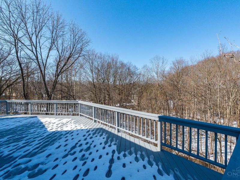 9883 Fawnrun Court, Evendale, OH 45241 Photo 49