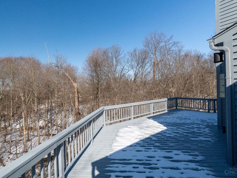 9883 Fawnrun Court, Evendale, OH 45241 Photo 50