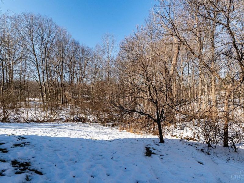 9883 Fawnrun Court, Evendale, OH 45241 Photo 57