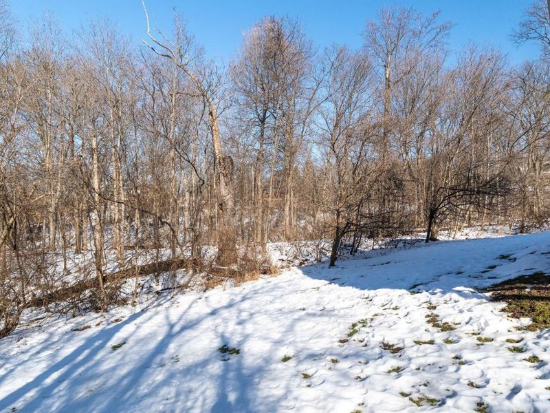 9883 Fawnrun Court, Evendale, OH 45241 Photo 58