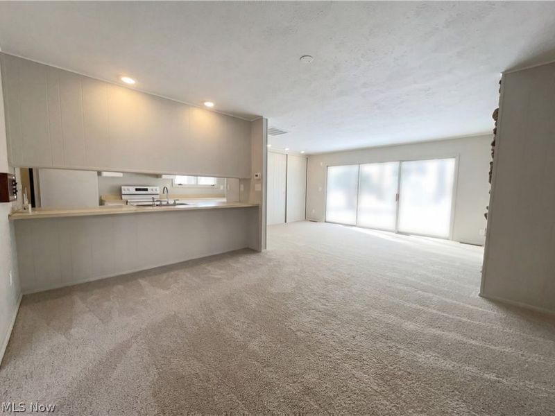 5896 Mills Creek Lane, North Ridgeville, OH 44039 Photo 12