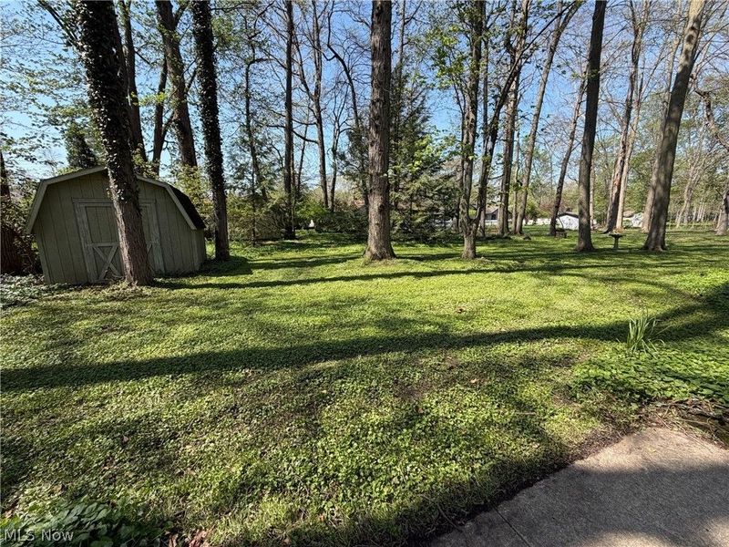 5896 Mills Creek Lane, North Ridgeville, OH 44039 Photo 19