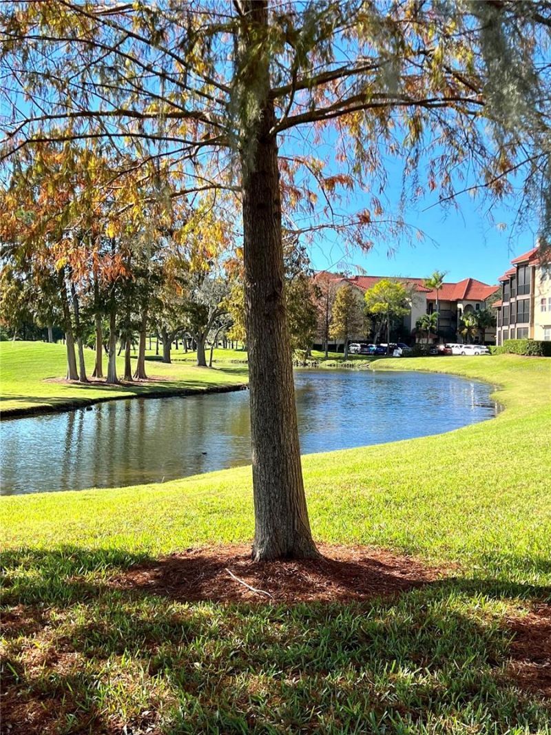 2400 Feather Sound Drive, Unit 332, Clearwater, FL 33762 Photo