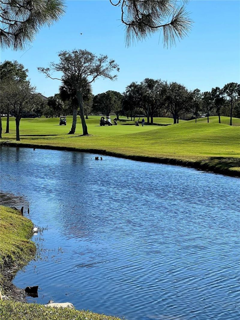 2400 Feather Sound Drive, Unit 332, Clearwater, FL 33762 Photo