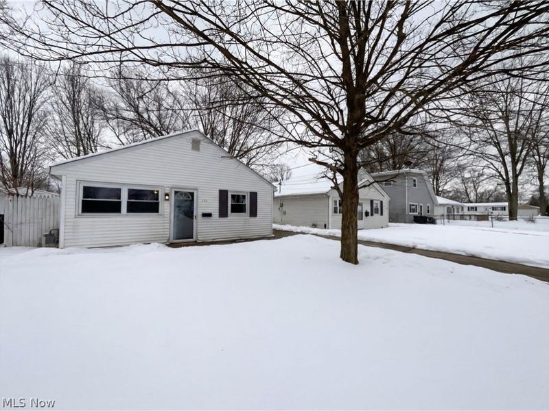 832 S Logan Street, Elyria, OH 44035 Photo 15