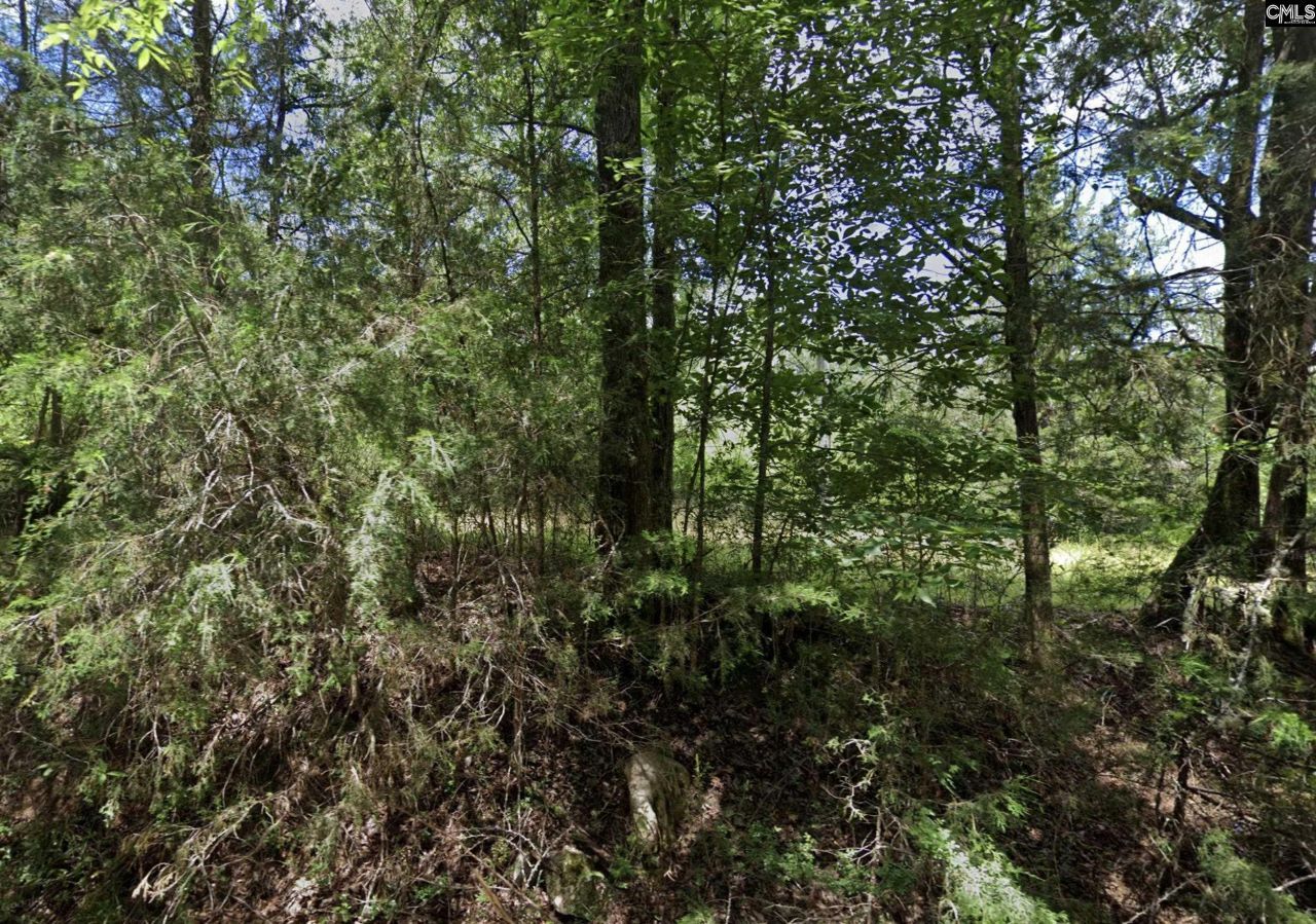 Tbd Old Catholic Church Road Photo 12