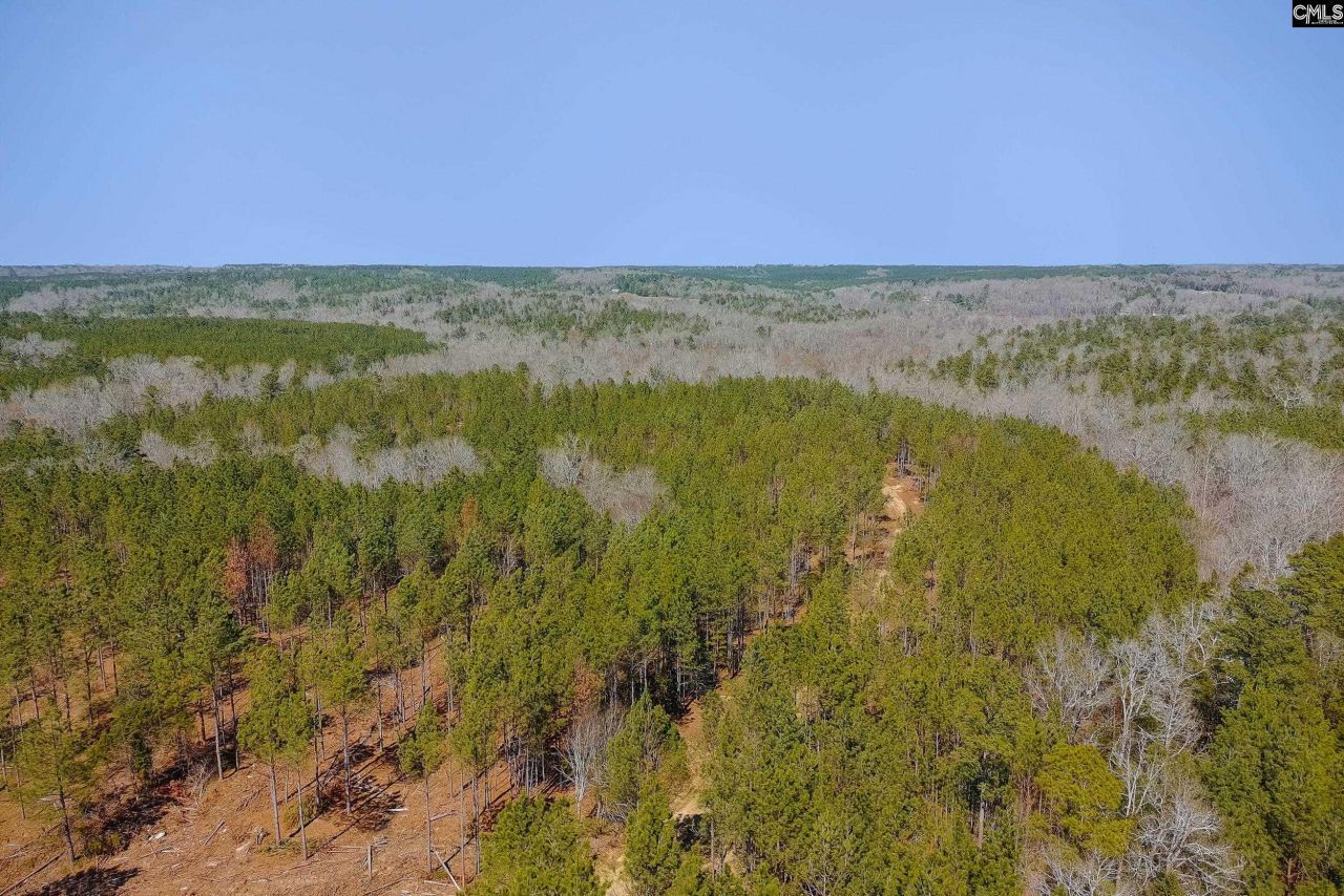 Tbd Old Catholic Church Road Photo 13