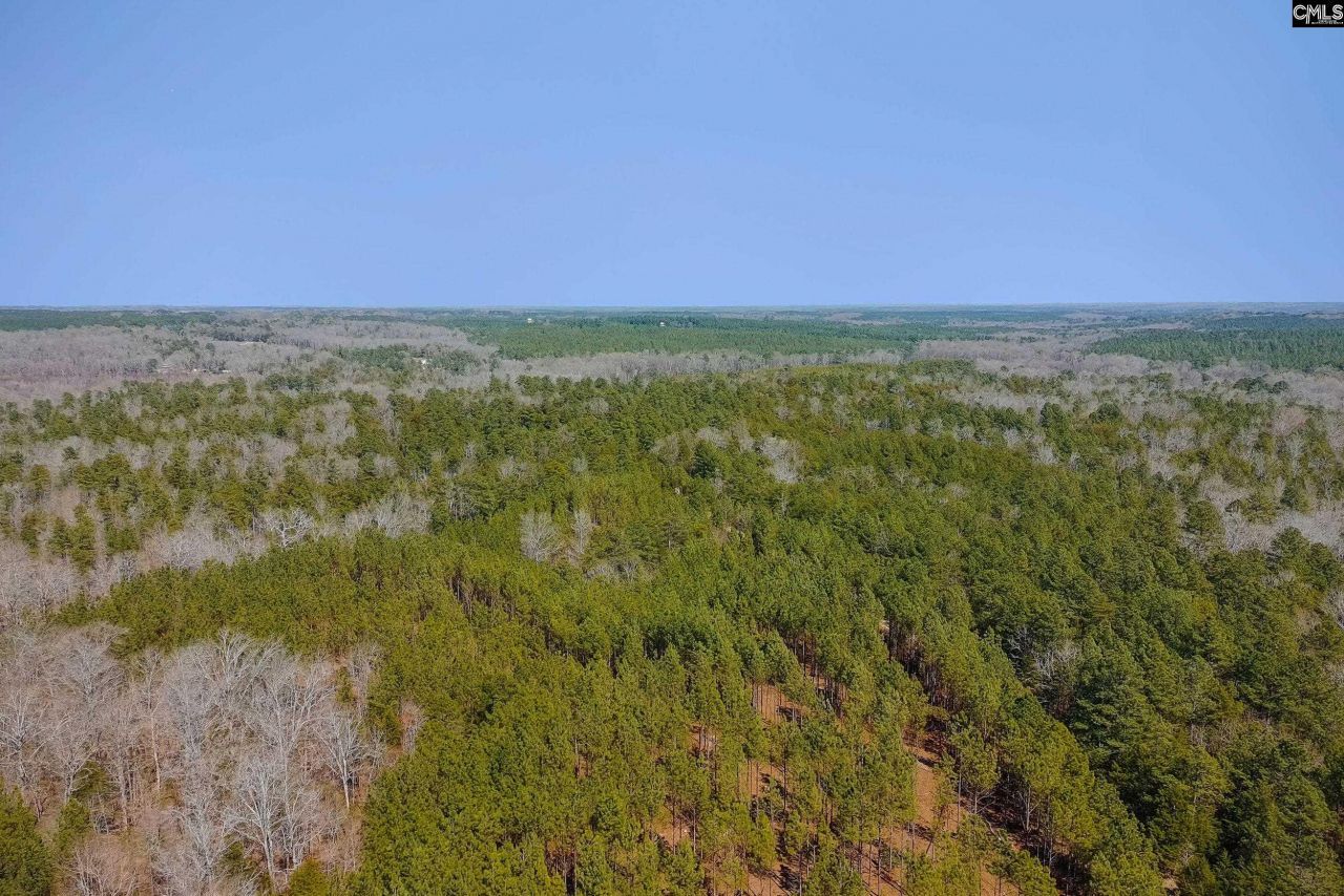 Tbd Old Catholic Church Road Photo 14