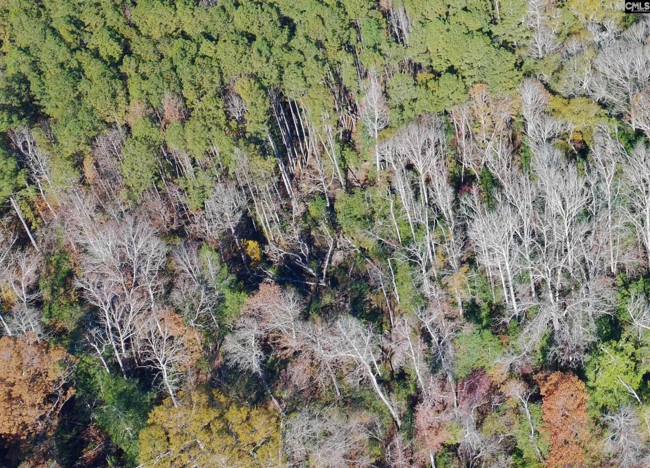 Tbd Old Catholic Church Road Photo 16