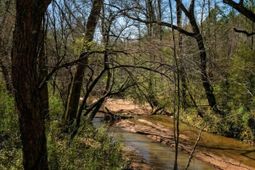 Tbd Old Catholic Church Road photo 4