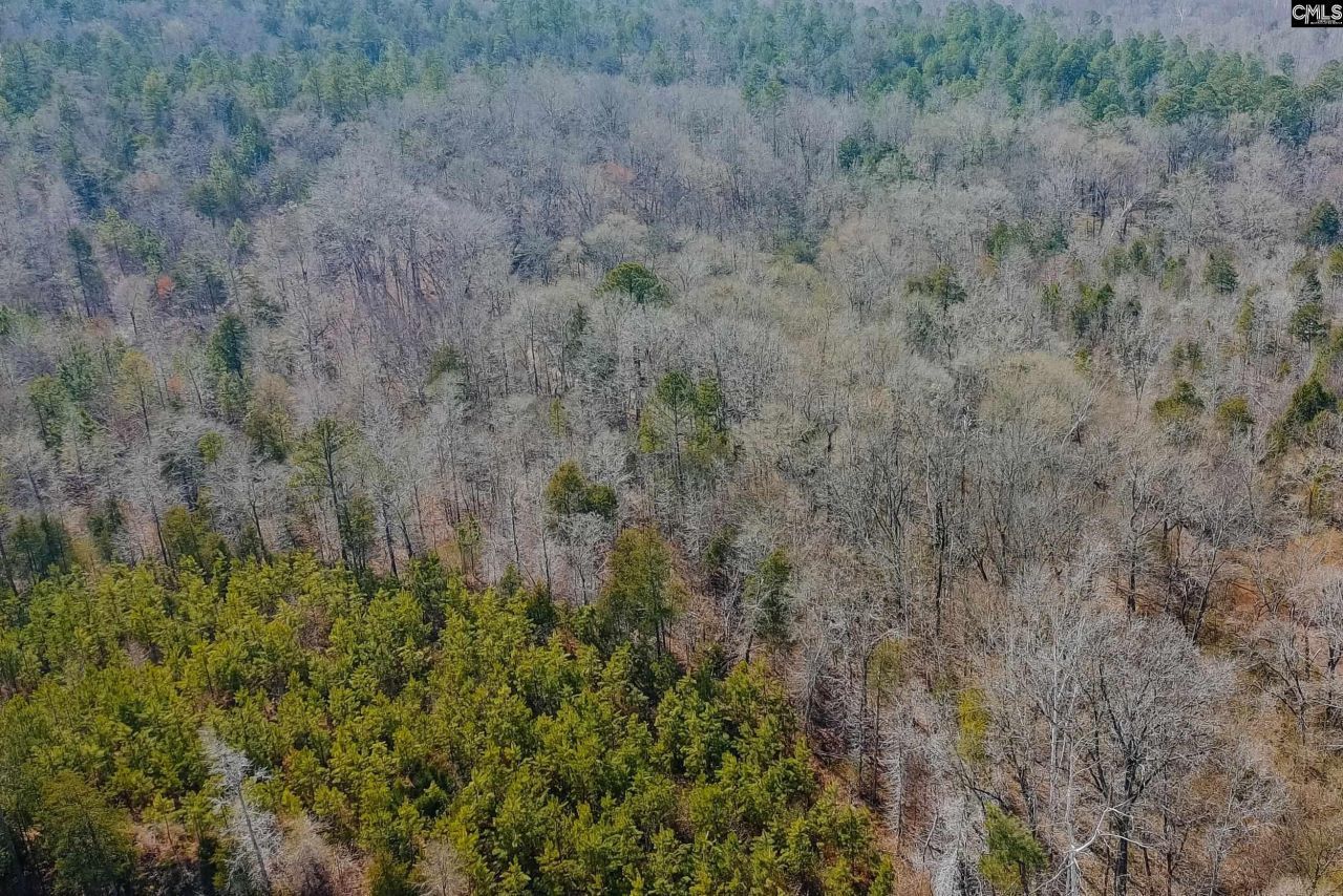 Tbd Old Catholic Church Road Photo 20