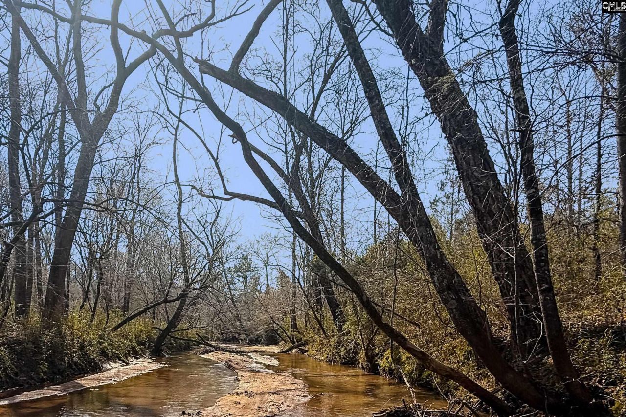 Tbd Old Catholic Church Road Photo 6