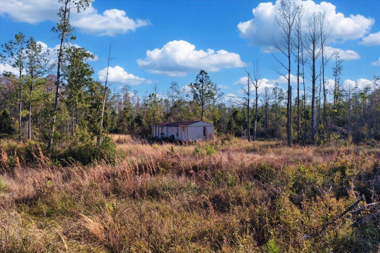 8412 SW Tower Road, Madison, FL 32340 Photo