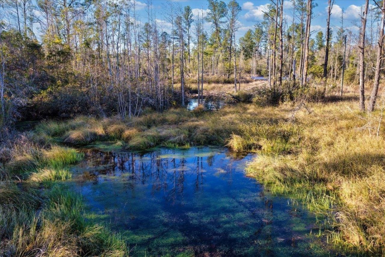 8412 SW Tower Road, Madison, FL 32340 Photo