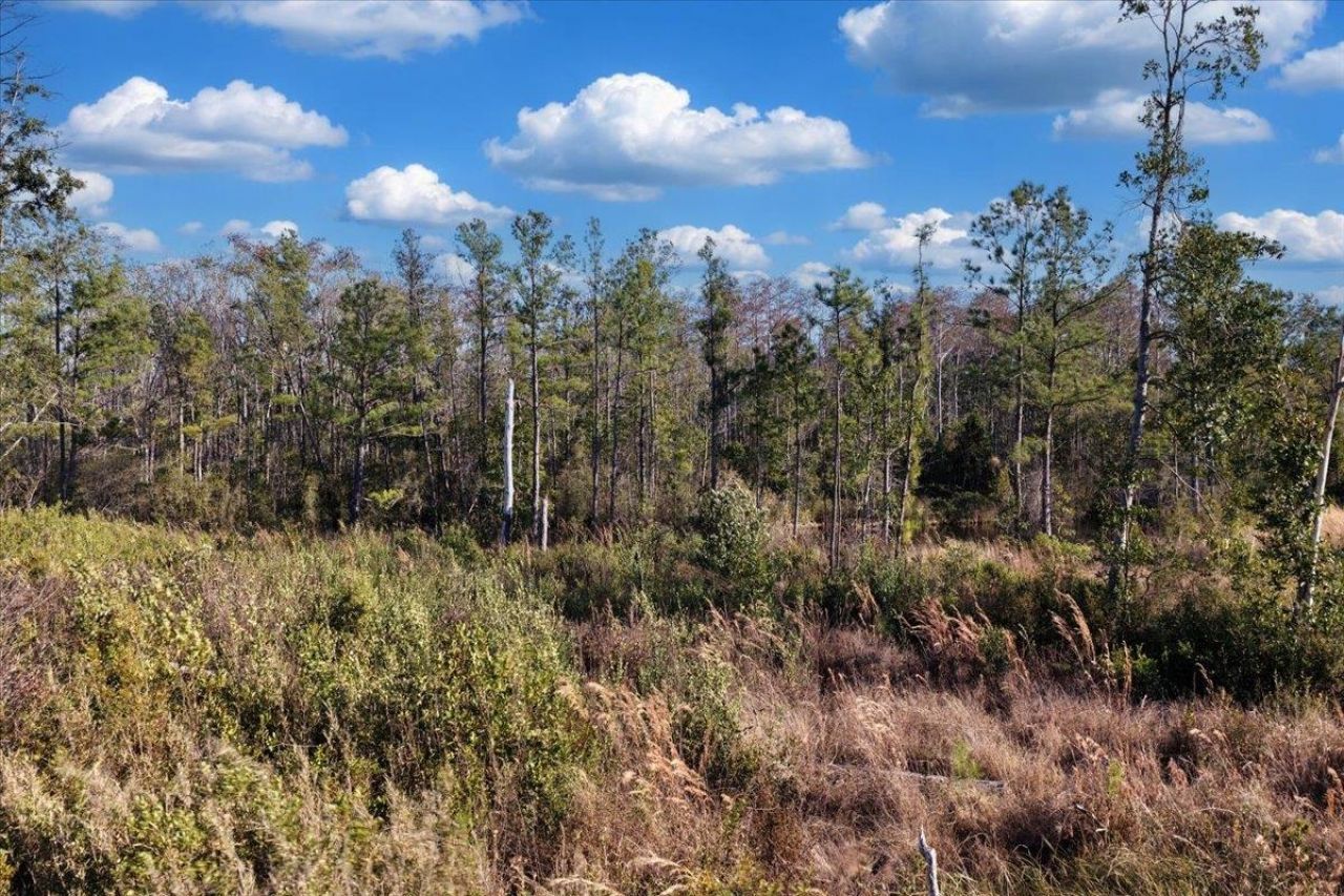 8412 SW Tower Road, Madison, FL 32340 Photo