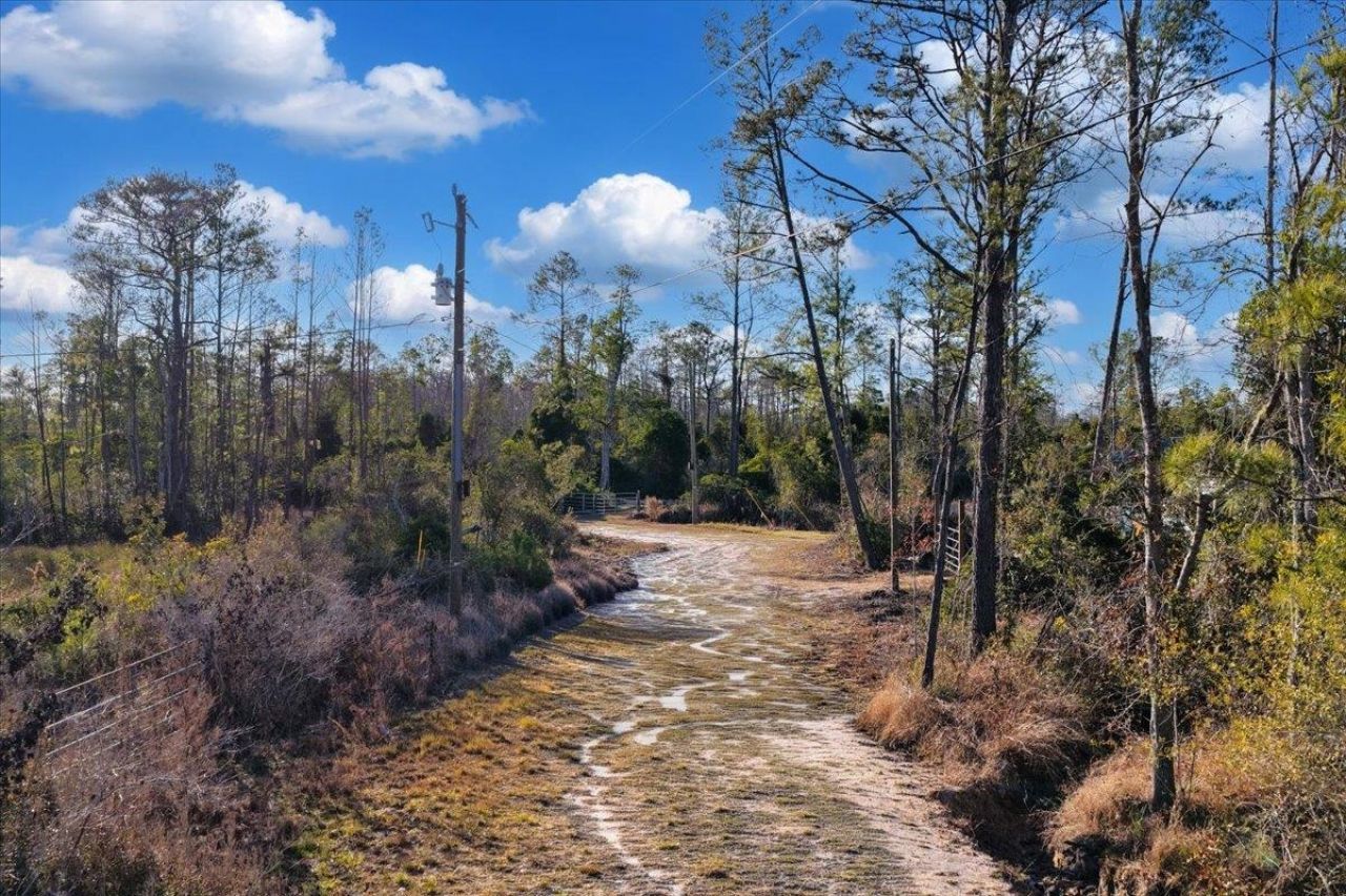 8412 SW Tower Road, Madison, FL 32340 Photo