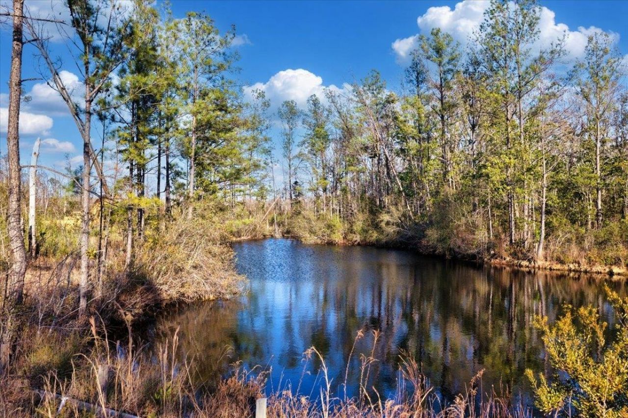 8412 SW Tower Road, Madison, FL 32340 Photo