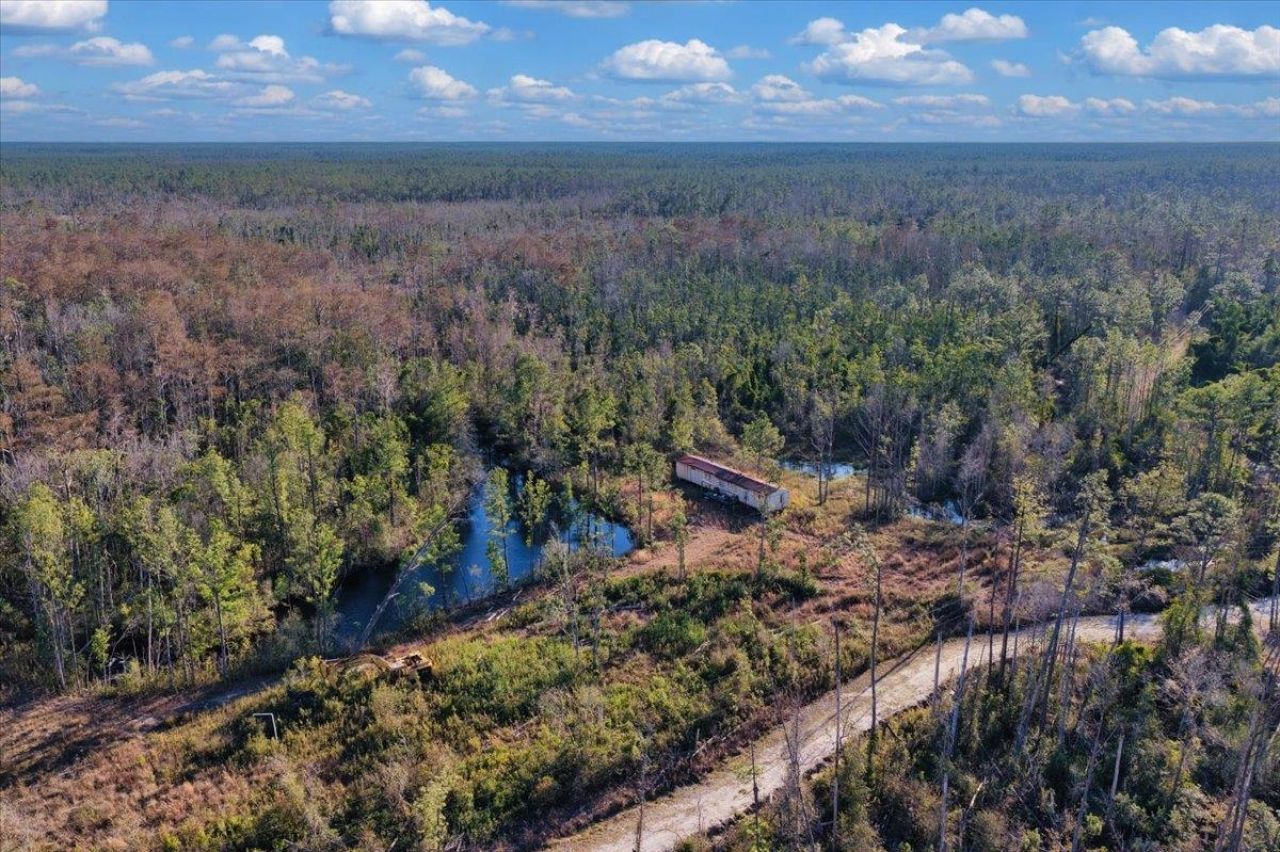 8412 SW Tower Road, Madison, FL 32340 Photo