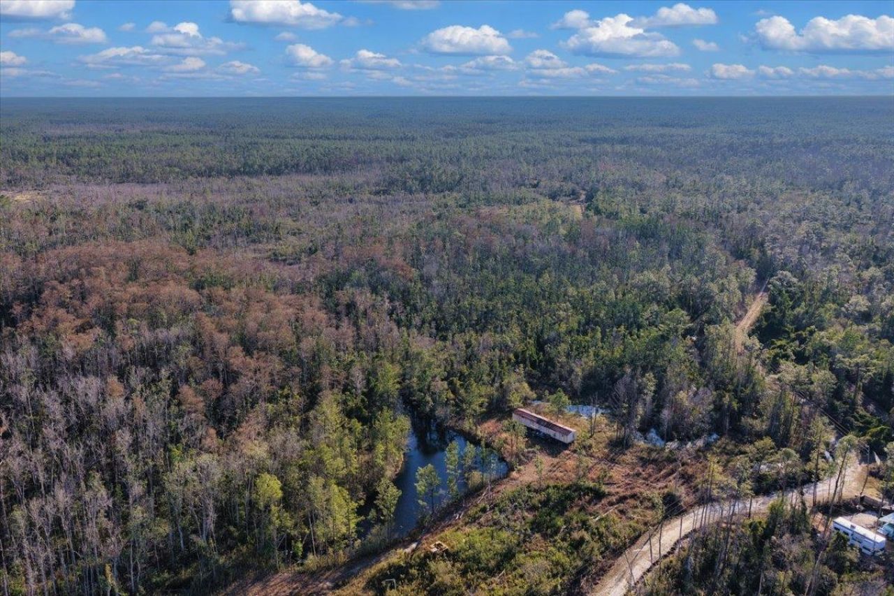 8412 SW Tower Road, Madison, FL 32340 Photo