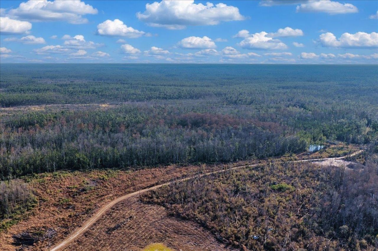 8412 SW Tower Road, Madison, FL 32340 Photo