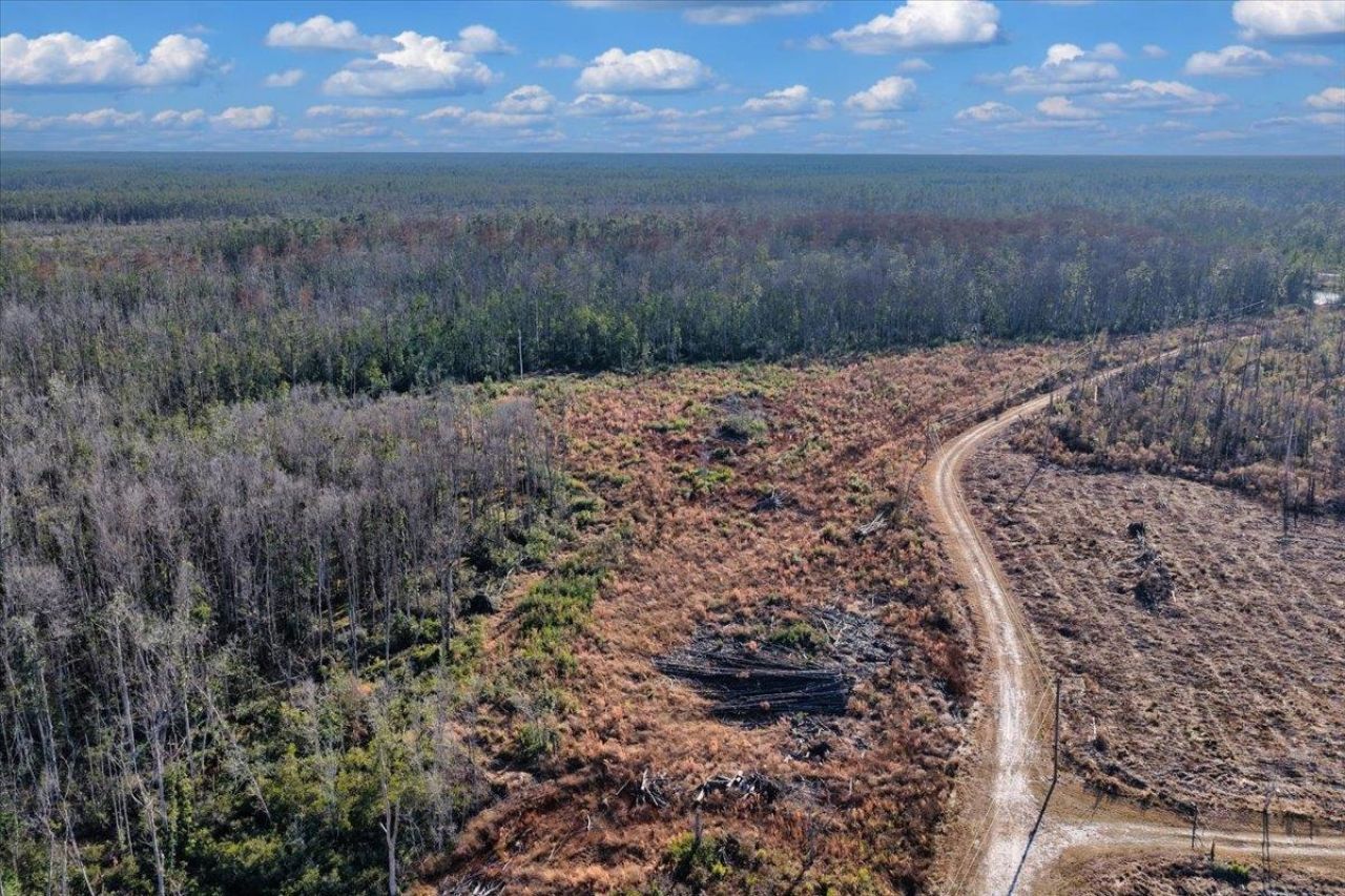 8412 SW Tower Road, Madison, FL 32340 Photo