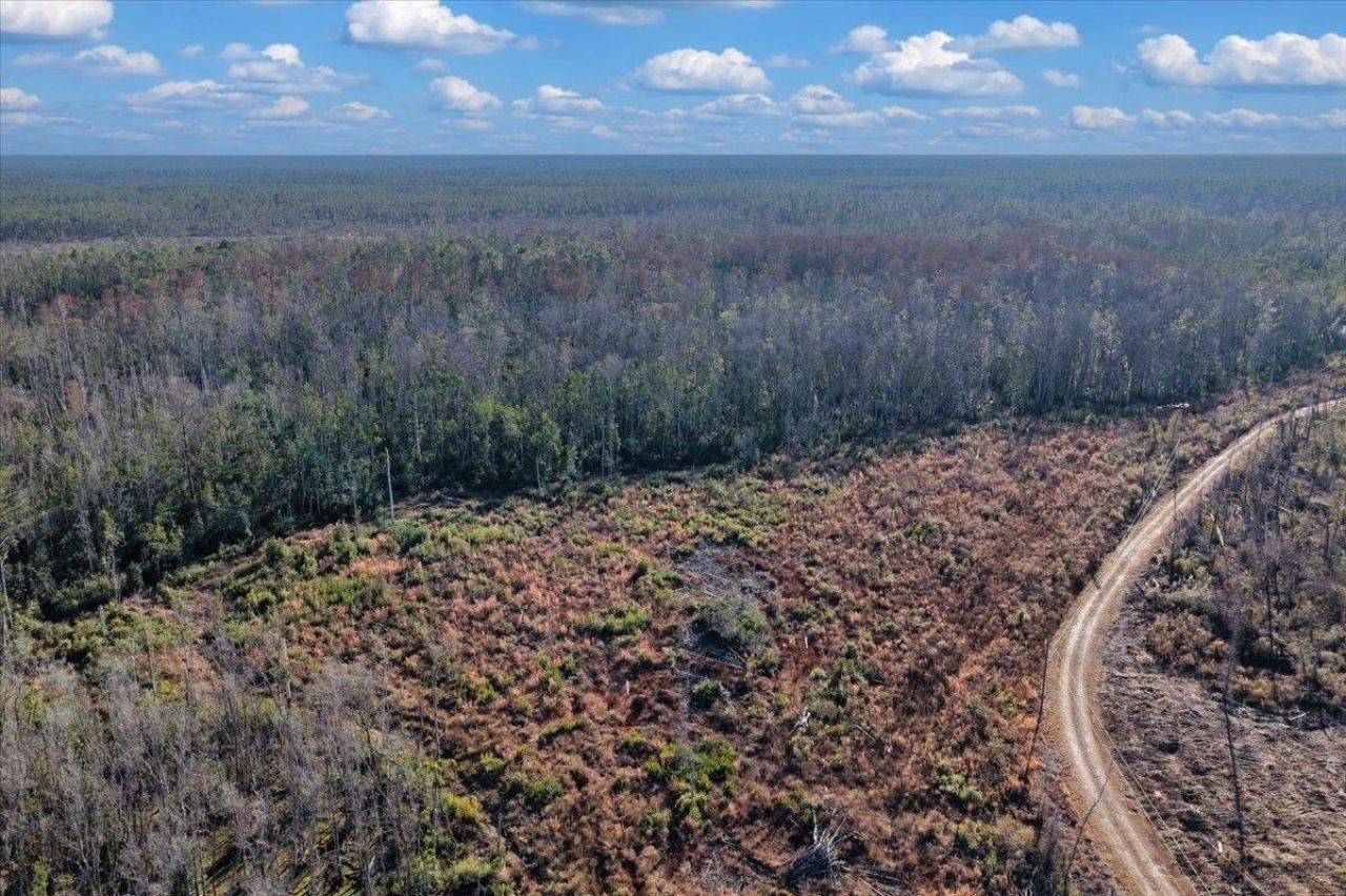 8412 SW Tower Road, Madison, FL 32340 Photo