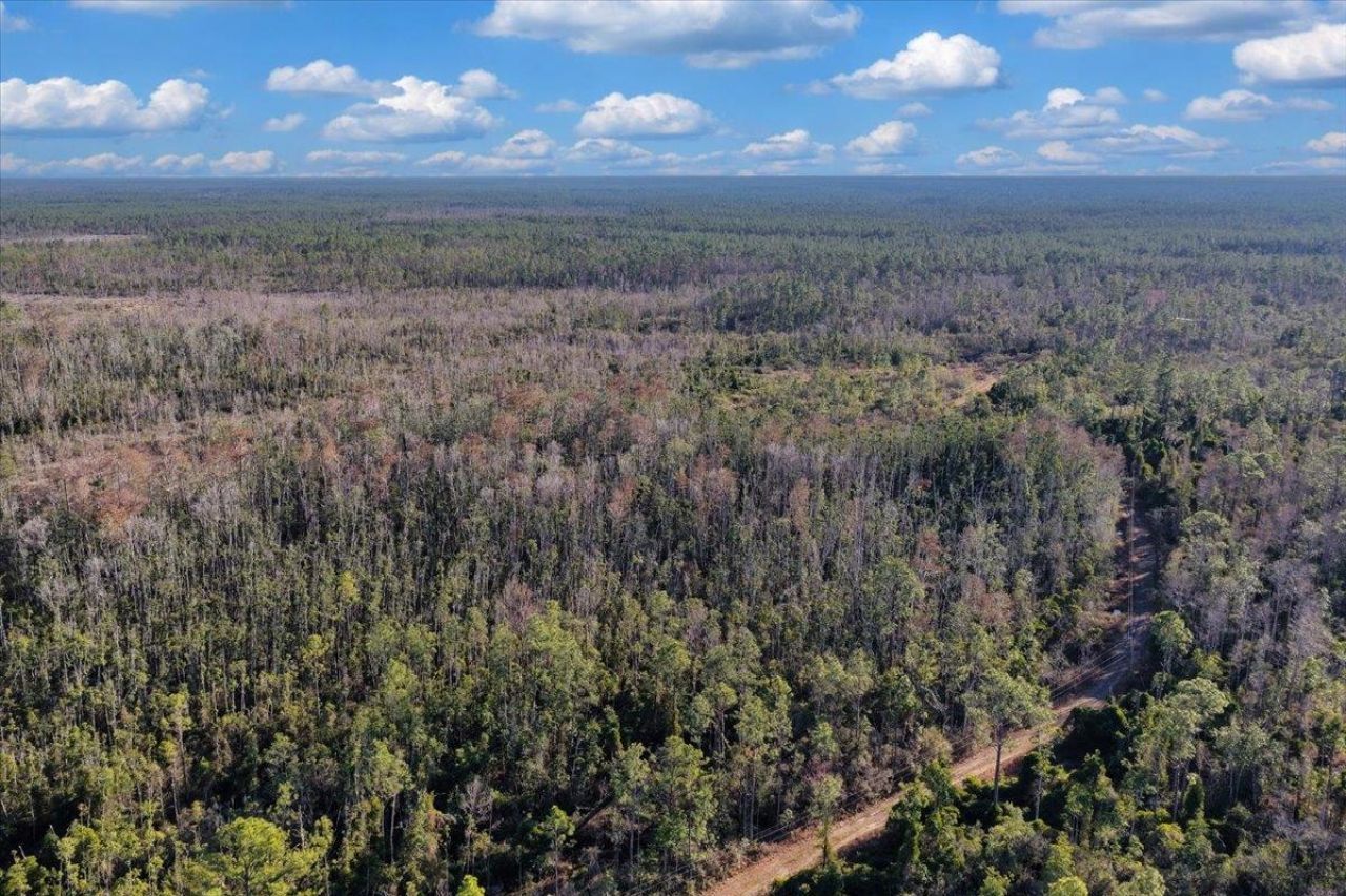 8412 SW Tower Road, Madison, FL 32340 Photo