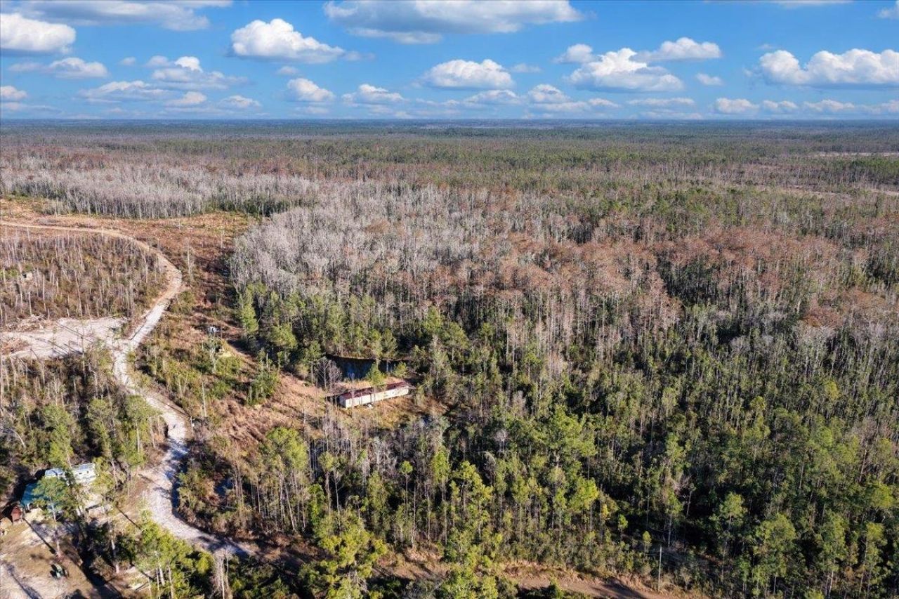 8412 SW Tower Road, Madison, FL 32340 Photo