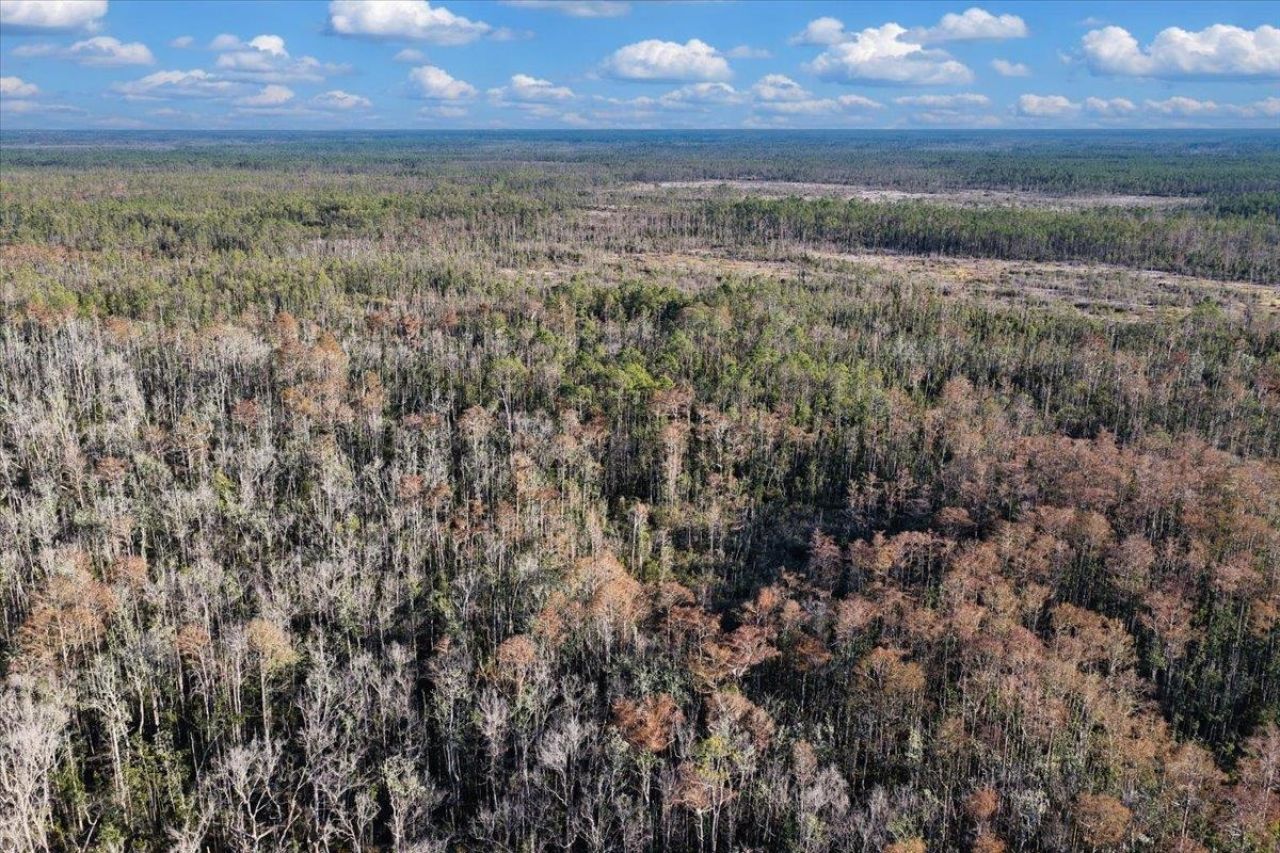 8412 SW Tower Road, Madison, FL 32340 Photo