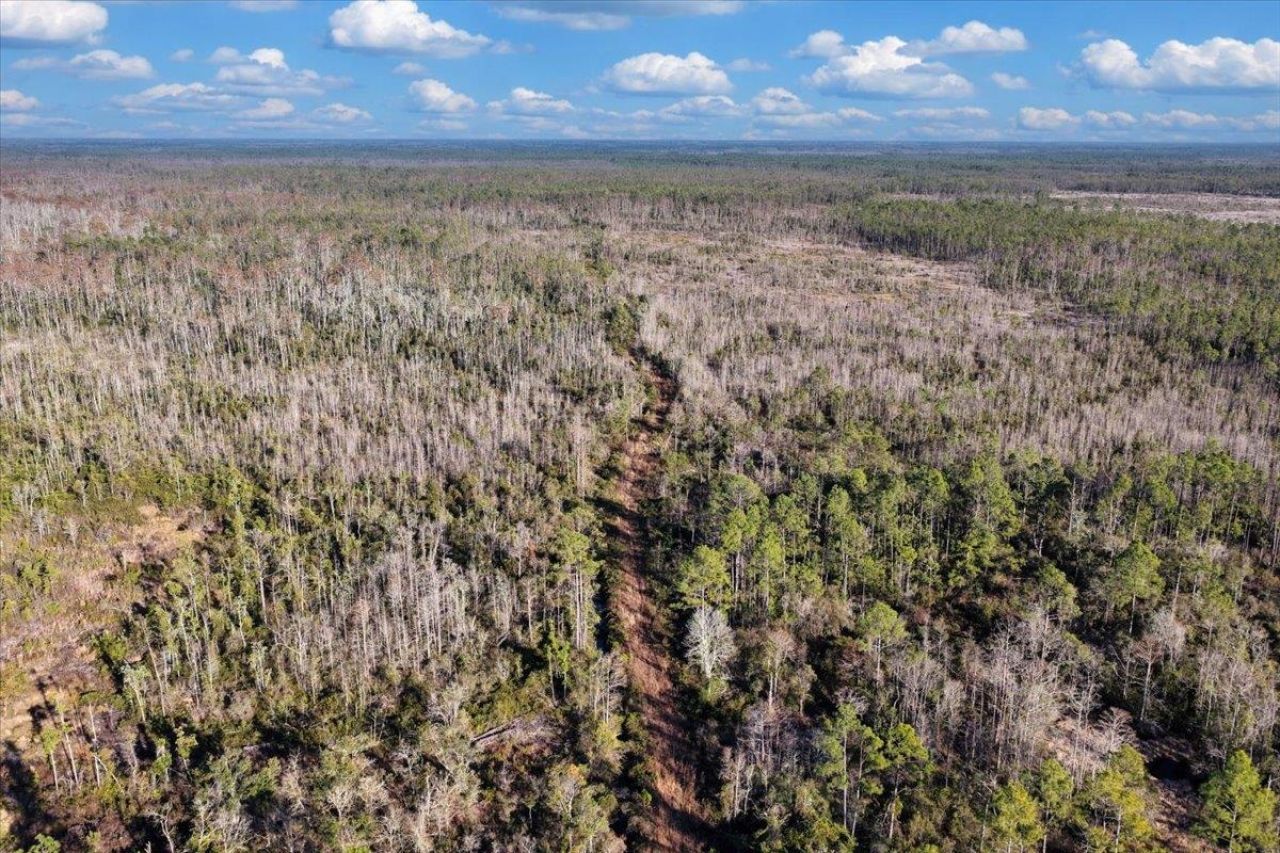 8412 SW Tower Road, Madison, FL 32340 Photo