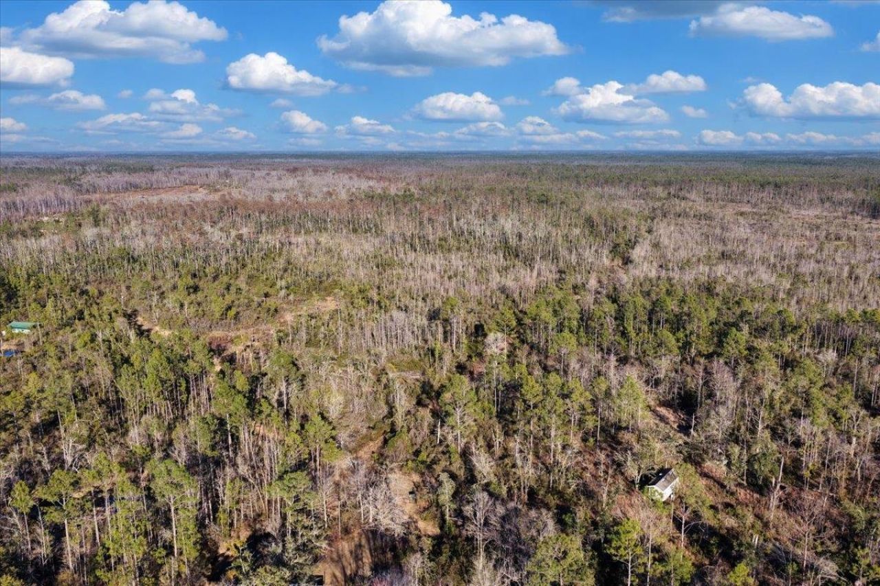 8412 SW Tower Road, Madison, FL 32340 Photo