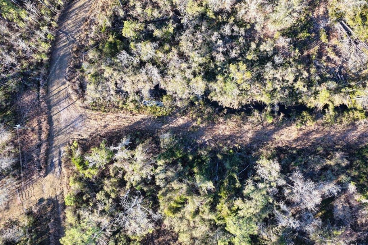 8412 SW Tower Road, Madison, FL 32340 Photo