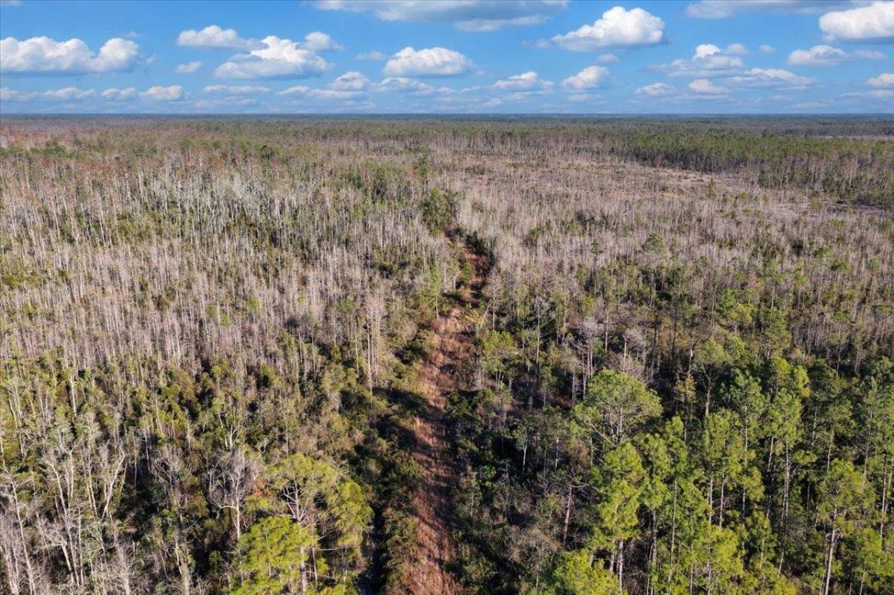 8412 SW Tower Road, Madison, FL 32340 Photo