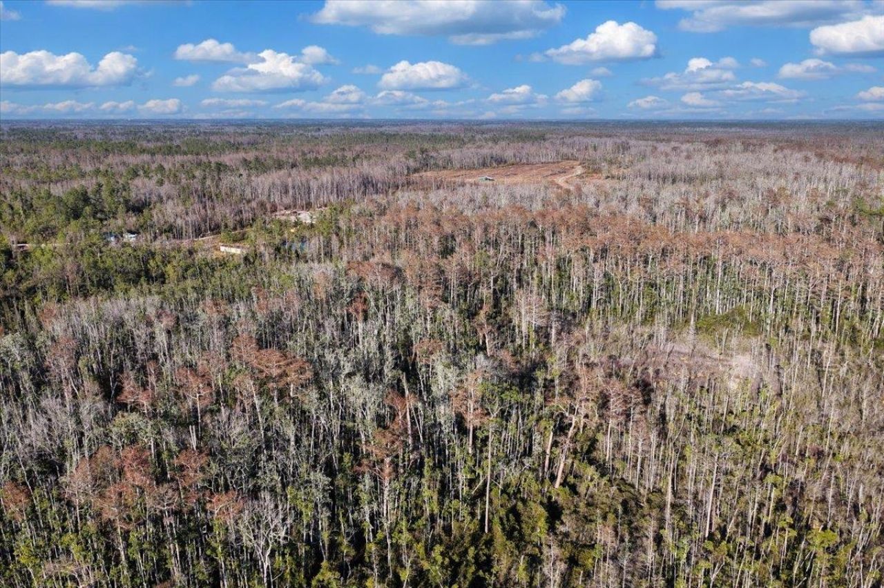 8412 SW Tower Road, Madison, FL 32340 Photo