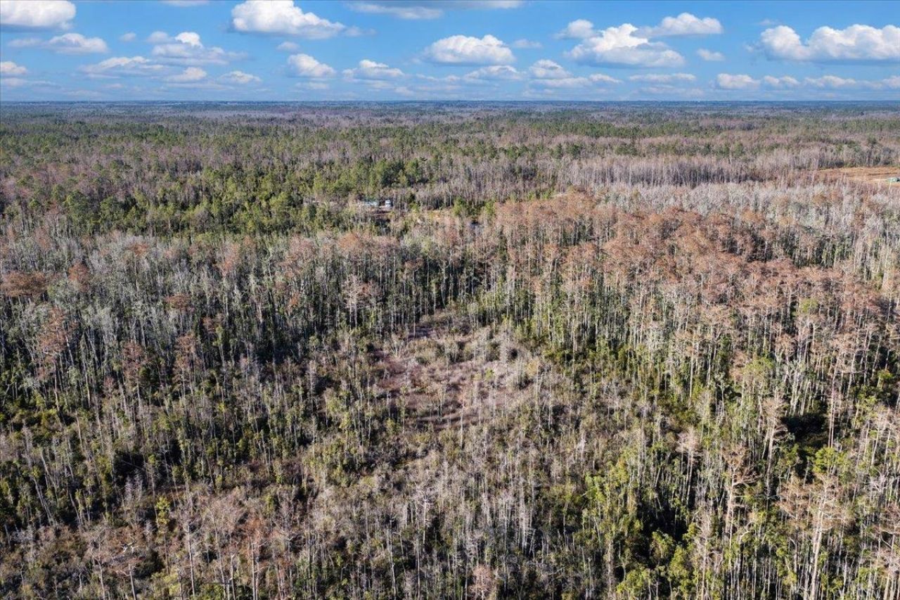 8412 SW Tower Road, Madison, FL 32340 Photo