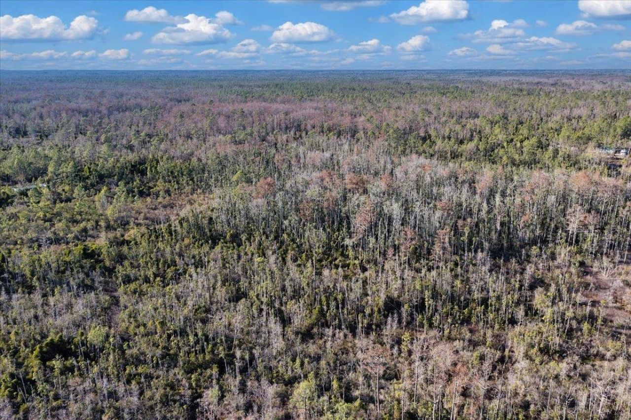 8412 SW Tower Road, Madison, FL 32340 Photo