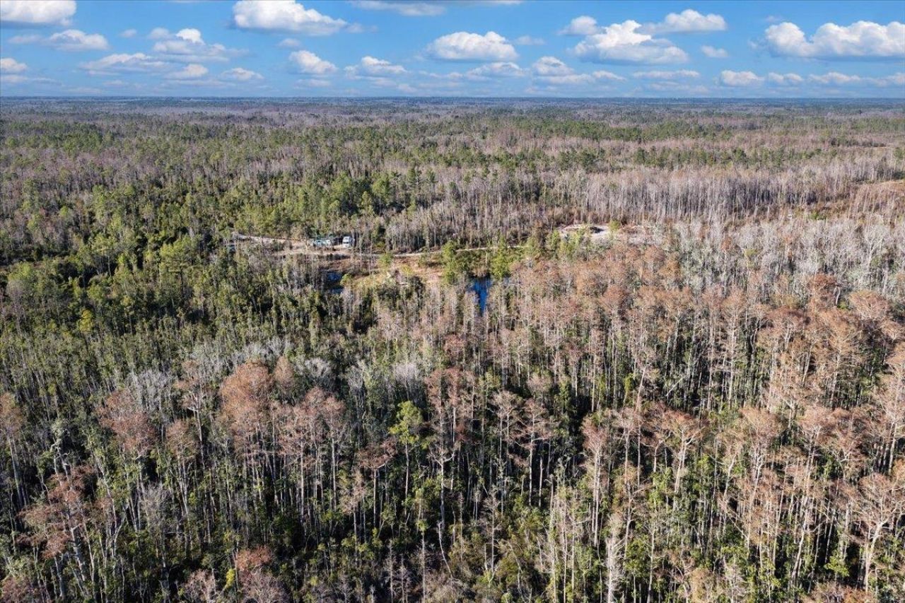 8412 SW Tower Road, Madison, FL 32340 Photo