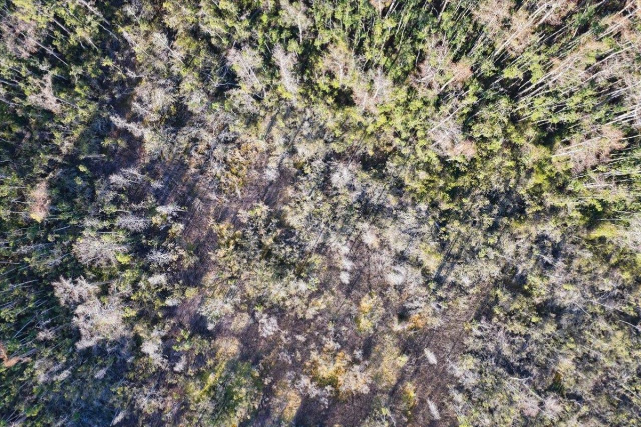 8412 SW Tower Road, Madison, FL 32340 Photo