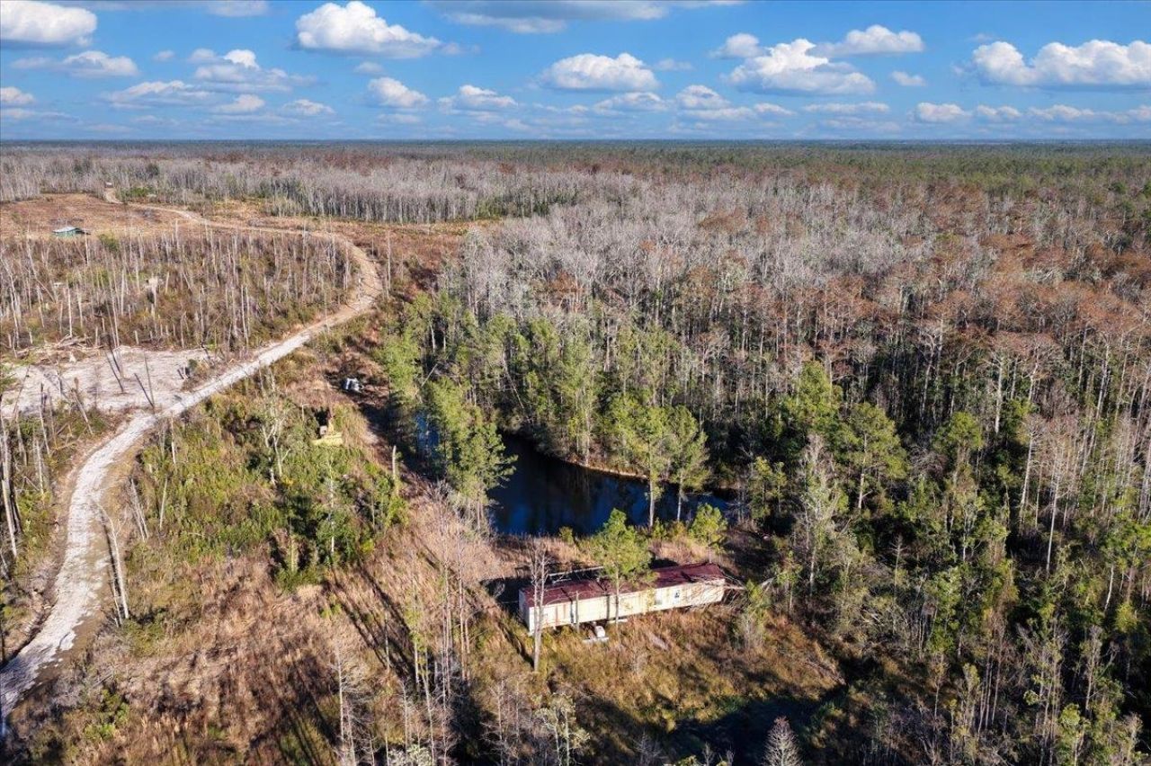 8412 SW Tower Road, Madison, FL 32340 Photo