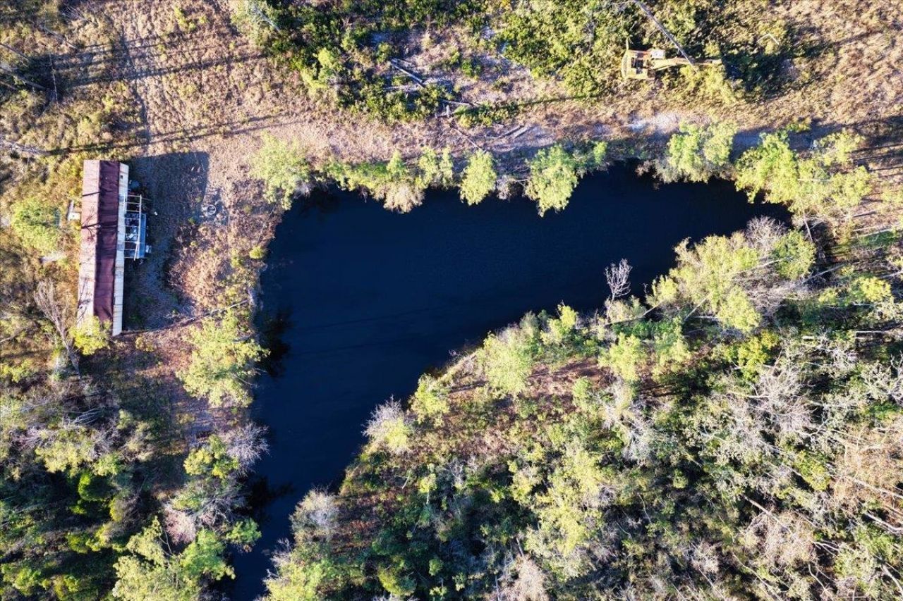 8412 SW Tower Road, Madison, FL 32340 Photo