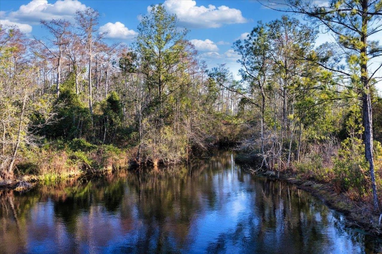 8412 SW Tower Road, Madison, FL 32340 Photo