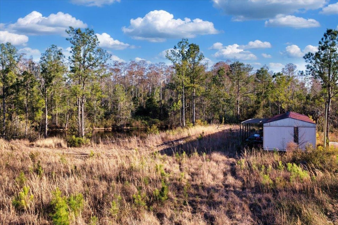 8412 SW Tower Road, Madison, FL 32340 Photo