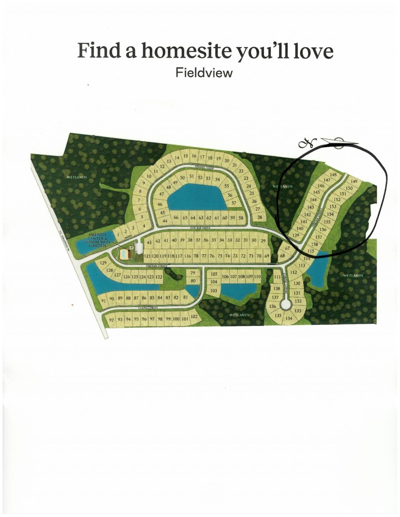 1149 Tibetan St. Photo 30