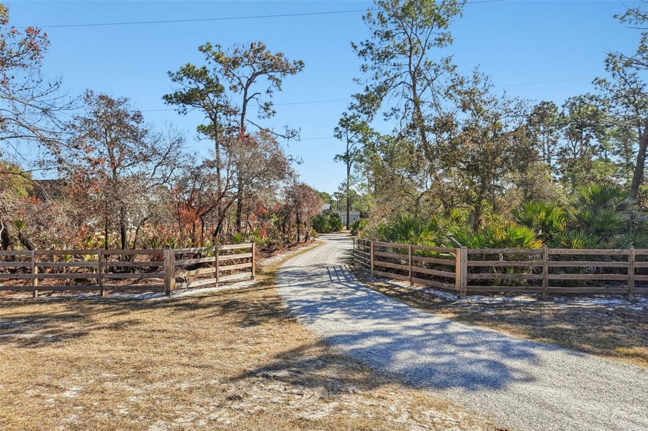 2537 Buck Knife Court, Chuluota, FL 32766 Photo