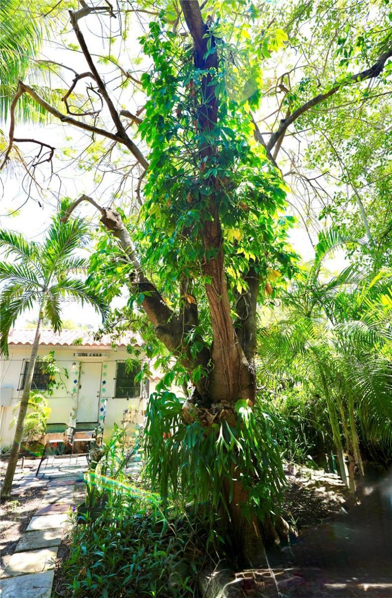 655 NE 82nd St, Miami, FL 33138 Photo